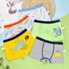 GRPSKCOS Children's Boys' Boxer Shorts, Dinosaur Pattern, Pack of 5,