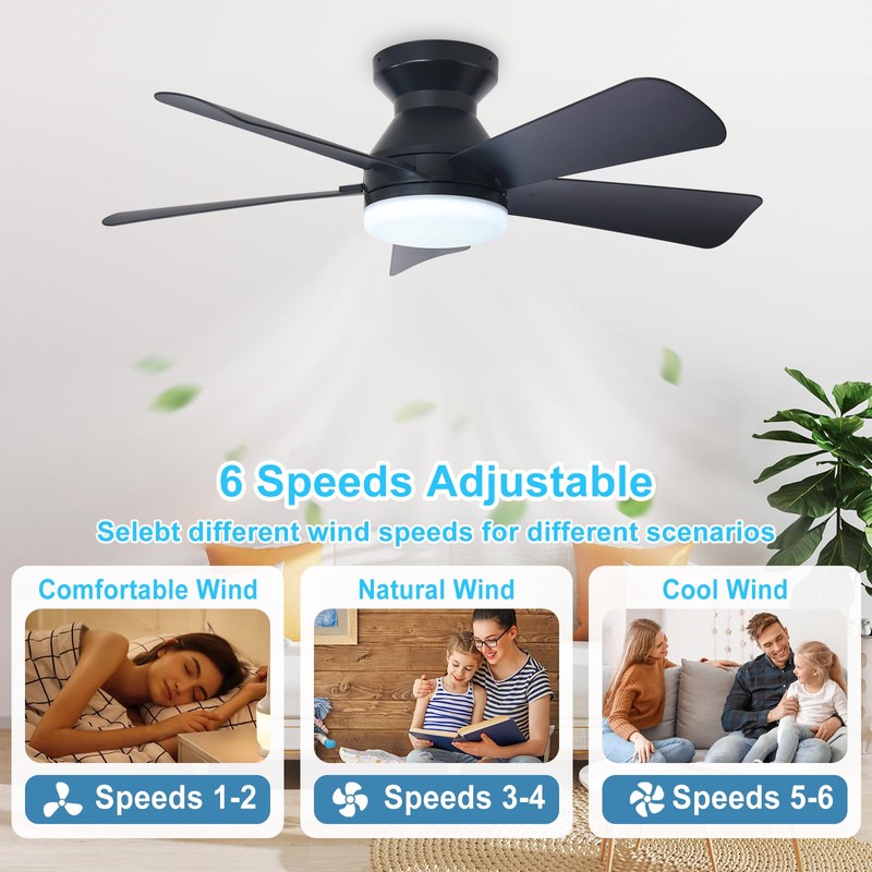 Depuley Modern Ceiling Fan with Light: 35-Inch Black Small Fans