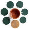 Drhob Flee 6-Piece Green Coaster Set with Flower Pot Shaped