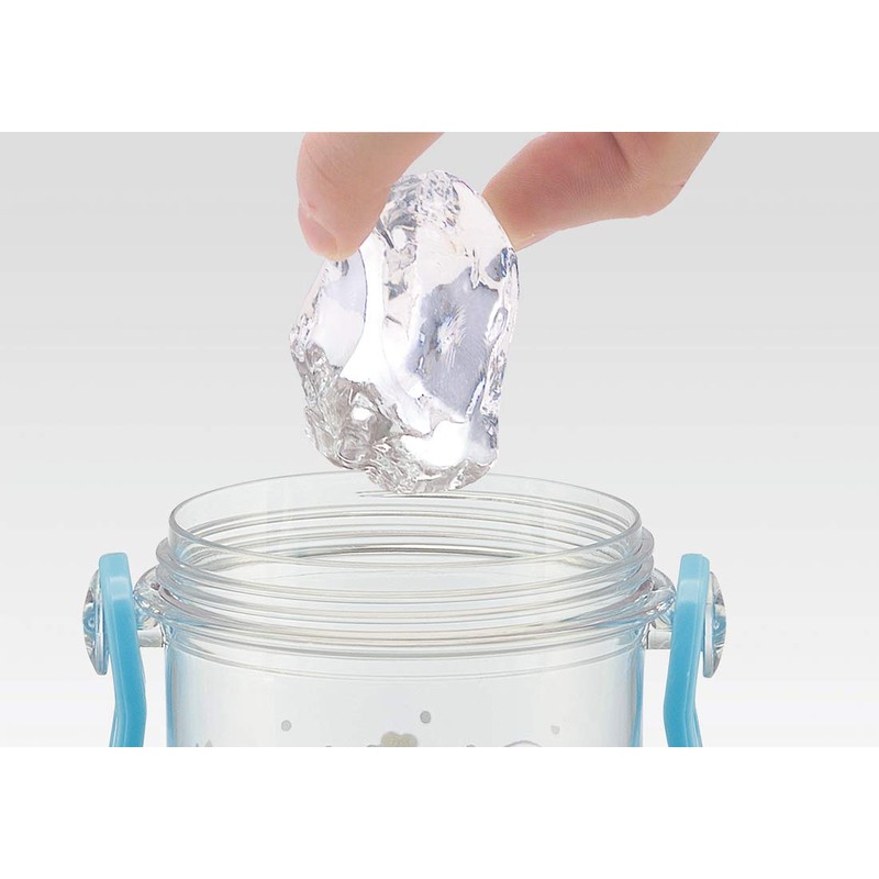 Skater PSB5TR Children's Water Bottle, Clear Bottle, 16.9 fl oz