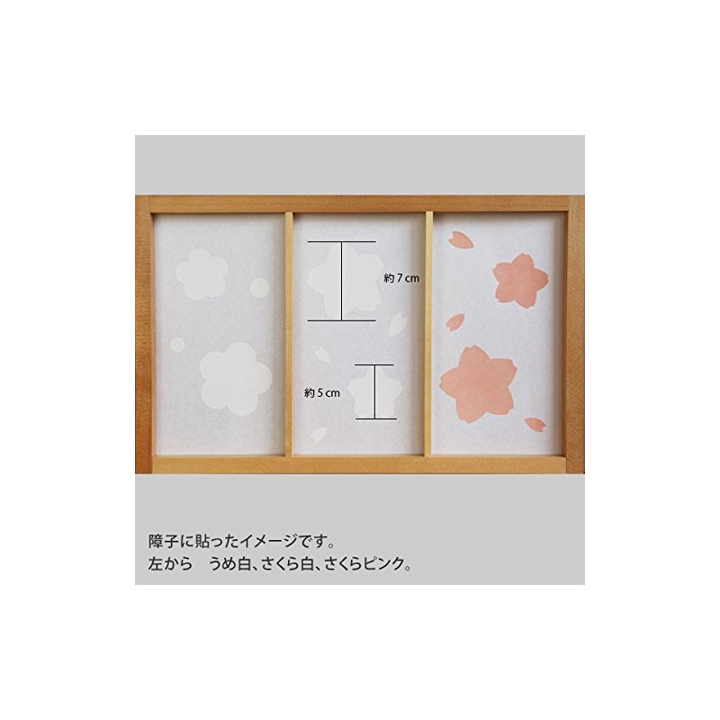 ONAO Washi Repair Stickers, Umewhite, 3.7 x 6.3 inches (9.5