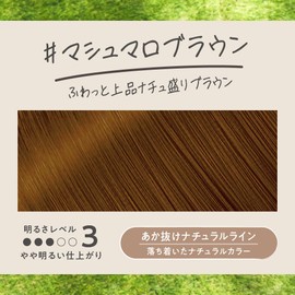 Liese Kao Bubble Hair Color - Marshmallow Brown for Black Hair