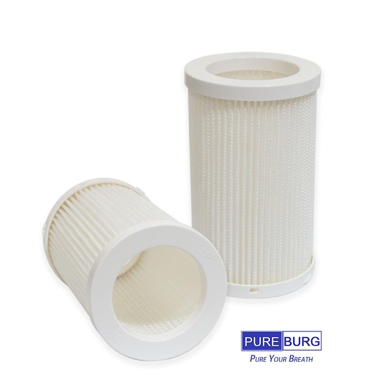 PUREBURG Replacement Filter Set Compatible with DH Lifelabs Aaira HEPA
