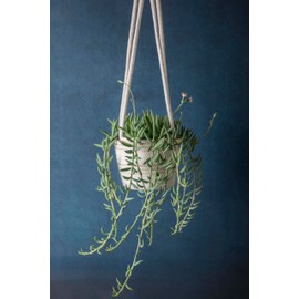 SuperMoss (54029 SoftWeave Hanging Planters for Indoor Plants 6″, Mixed Case, Set of 3, 6 inch Plant Flower Pots