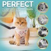 Avont Cat Recovery Suit - Kitten Onesie for Cats After