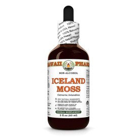 Iceland Moss (Cetraria Islandica) Dry Whole Plant Glycerite, Made in Hawaii, Organic Raw Materials, All Natural, Vegan, Lab Tested Alcohol-Free Liquid Extract - 2 fl.oz