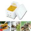 TOMVAES Bee Hive Box Bee Box Single Layer Foam Box