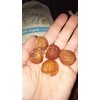 1lb Shep's Organic Soap Nuts (Soap Berries) Natural Organic Laundry
