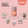 BOLSIUS 4 Pack Ash Rose Rustic Pillar Candles - 2.75