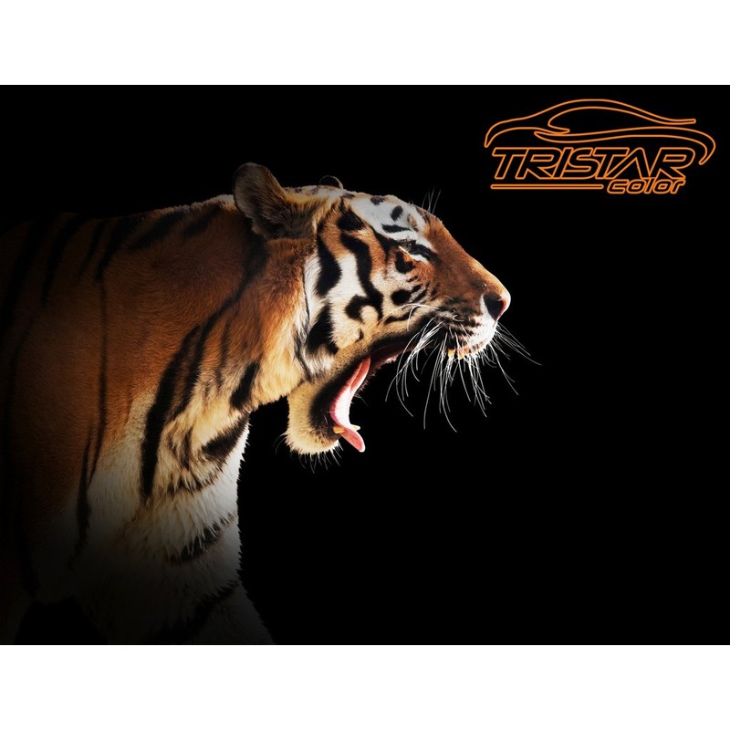 TRISTARcolor RAL 7011 Iron Grey Satin Paint Pen 50 ml