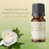 MEVA Esencias para Difusores y Humidificadores de Aromas 5ml Varios