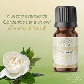 MEVA Esencias para Difusores y Humidificadores de Aromas 5ml Varios Aromas para Elegir (Gardenias)