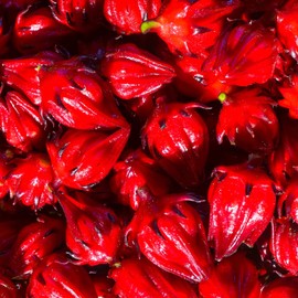 50 Pcs Red Roselle Seeds, Hibiscus sabdariffa Seeds, Jamaican Sorrel Seeds, Florida Cranberry Seeds, Indian Roselle Seeds