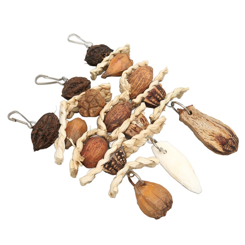Parakeet Beak Stone Parrots Trimming Chew Toys Set Bird Nuts