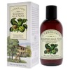 LErbolario L'erbolario walnut shampoo - balancing shampoo for hair and