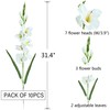 kimbovillea Pack of 10 - Artificial Gladiolus Silk Orchids Flower