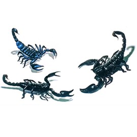 EROSPA® Temporary Tattoo Sheet / Sticker 3D Scorpio 10.5 x 6 cm