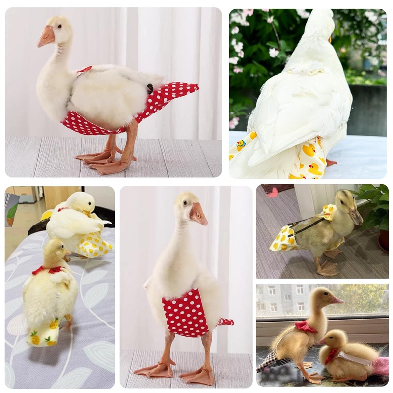 QBLEEV Pet Cole Duck Diapers for Baby Ducks, Chicken Diapers
