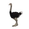CollectA Ostrich