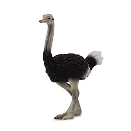 CollectA Ostrich