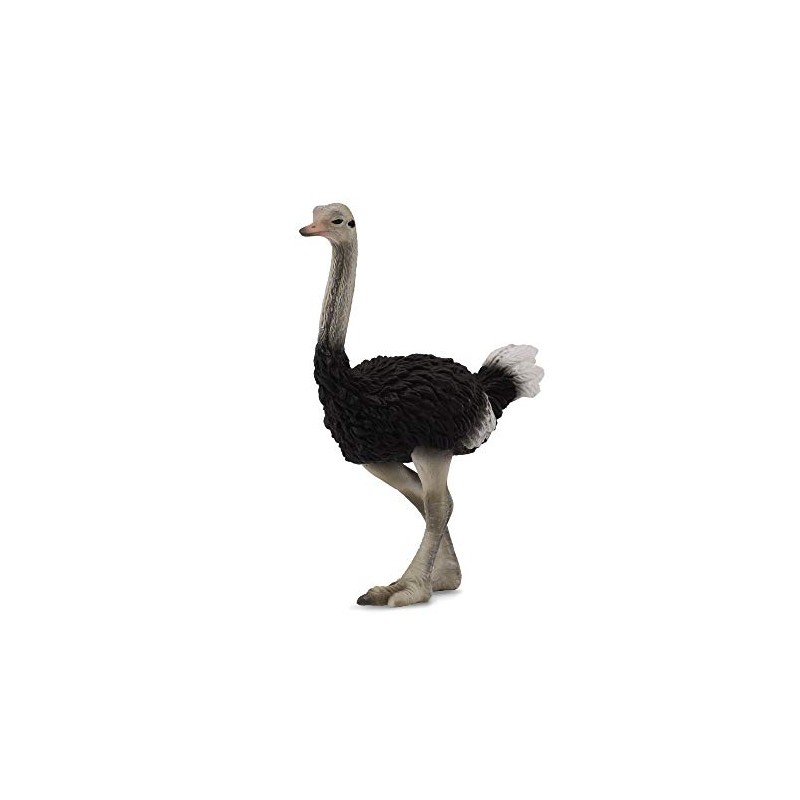 CollectA Ostrich