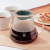 Hario XGS-INT-02TB Coffee Pot, Glass, 600 milliliters