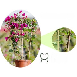 Pack of 100 Butterfly Shape Plant Clips - Large 8-Shape Plant Holder for Climbing Plants, Tomatoes, Flowers & Trellis (Bundle Clips, Stable & Reusable)