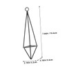 CAXUSD 2Pcs Iron Air Plant Holders Hanging Plant Shelves for