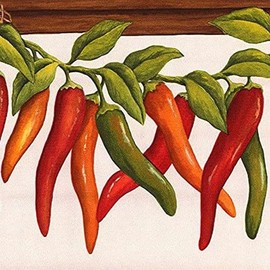 Concord Wallcoverings Wallpaper Border Kitchen Pattern Chili Peppers Garland for Dining Area Cottage, White Red Green Brown Purple Orange, 7 Inches by 15 Feet KV79527