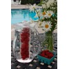 Prodyne 93 oz Fruit Infusion Pitcher BPA Free Clear Acrylic