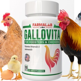 GALLOVITA para Gallos 100Tabs Vitamins Minerals Aminoacids for Rooster Hens Chickens Gamefowl Vitaminas Minerales Aminoacidos
