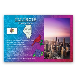 ILLINOIS STATE FACTS postcard set of 20 identical postcards. Post cards with IL facts and state symbols. Made in USA.