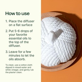 Plant Therapy Plant Therapy Pumpkin Passive Diffuser for Fall, Porous, Unglazed Pumpkin & Natural Beech Wood Base, Add Essential Oils for a Soft Scent, Fun & Cheerful Holiday Dcor