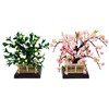 Sakura Tachibana Gion No. 25 (Horazono for Hinamatsuri Dolls)