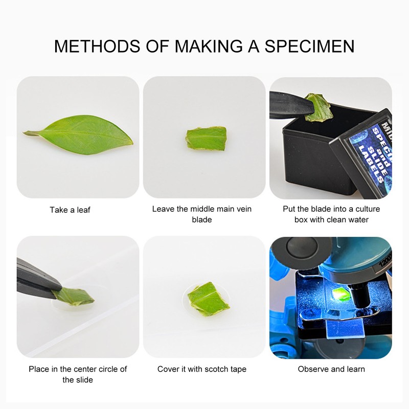 Microscope for Kids 100X 600X 1200X Zoom LED Light Science