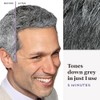 Just For Men Just For Men Touch of Grey, Black