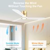 DAMINY Natural Solid Wood White and Gold 52 inch Ceiling