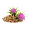 Sunshine Seeds Milk Thistle Seeds (50) / ORGANIC / FLORIDA