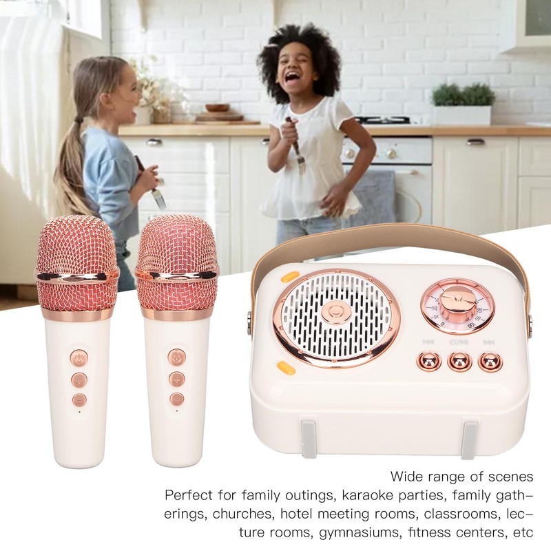 Karaoke Machine Multifunction Enhanced Bass 6 Modes Portable Bluetooth PA