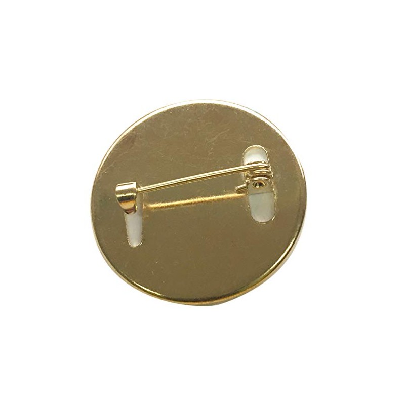 Capricornone Recycling Eco Group 27mm Round School Badge (Gold)