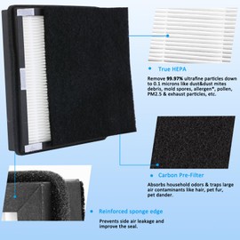 WOCASE 2-Packs Replacement Idylis Air Purifier Hepa Filters B (2 HEPA + 2 Carbon filters),Fit for Idylis Air Purifiers AC-2125,AC-2126,IAP-10-150,iap-10-125,Model #iaf-h-100b,ac2126,ac2125,type b