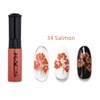 Alexnailart 5 Colours Nail Polish Set 2-Way Stamping Polish Manicure