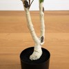 Nearly Natural 5ft. Artificial Birch Tree with Real Touch Leaves