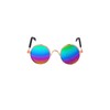 Colorful Cat Dog Sunglasses Round Metal Funny Pet Glasses Puppy