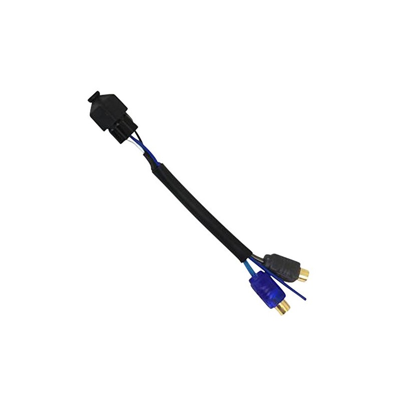 SSV Works WP-HRCA Adapter Harness for WP Stereo System for