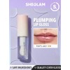 SHEGLAM Plumping Lip Gloss Brillo de Labios Voluminizador Hot (That's