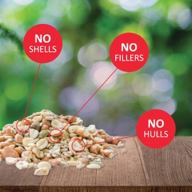 Lyric Delite Wild Bird Seed - No Waste Bird Food Mix with Shell-Free Nuts & Seeds for Outdoor Bird Feeders - 10 lb. (Pack of 2-5 lb. Bags)