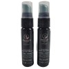 Paul Mitchell 2x Paul Mitchel Travel-Sized Awapuhi Wild Ginger Blow