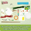 FRANZIS 67202 Advent Calendar Petronella Applesauce Experiments and Magic Tricks,