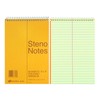 National Steno Notebook, Gregg-Ruled, Green Eye-Ease Paper, Brown Cover, 6"